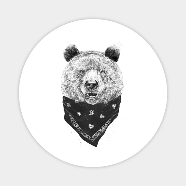 Wild bear Magnet by soltib